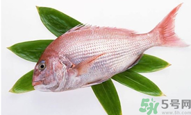 吃魚眼睛對眼睛有好處嗎？吃什么魚對眼睛好？