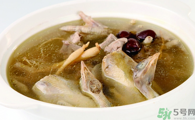 孕婦可以吃魚(yú)膠嗎？魚(yú)膠怎么燉適合孕婦吃？