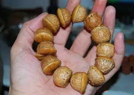 壯陽(yáng)果怎么泡酒？ 壯陽(yáng)果泡酒的功效與作用