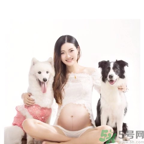 孕婦可以養狗嗎？養狗對孕婦有影響嗎？