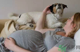 孕婦可以養狗嗎？養狗對孕婦有影響嗎？