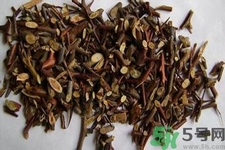 皂角刺的藥用價值是什么？皂角刺的功效與作用有哪些？