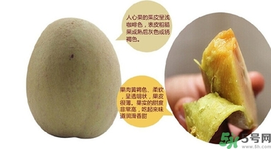 人心果的功效作用 人心果的營養和食用禁忌 人心果的功效作用 人心果的營養和食用禁忌