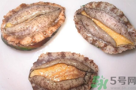 鮑魚(yú)的營(yíng)養(yǎng)價(jià)值有哪些？鮑魚(yú)的藥用價(jià)值是什么？