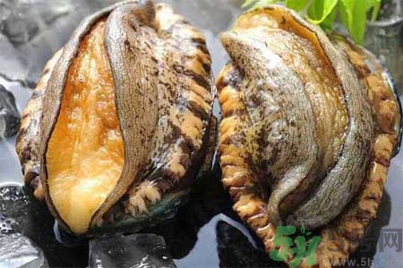 鮑魚(yú)的營(yíng)養(yǎng)價(jià)值有哪些？鮑魚(yú)的藥用價(jià)值是什么？
