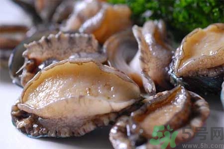 鮑魚(yú)的營(yíng)養(yǎng)價(jià)值有哪些？鮑魚(yú)的藥用價(jià)值是什么？