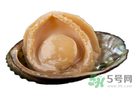 鮑魚(yú)的營(yíng)養(yǎng)價(jià)值有哪些？鮑魚(yú)的藥用價(jià)值是什么？