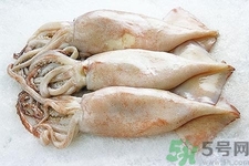 魷魚怎么處理？干魷魚怎么泡發(fā)？