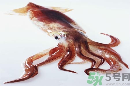 魷魚怎么處理？干魷魚怎么泡發(fā)？