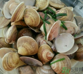 孕婦可以吃文蛤嗎？文蛤的功效與作用