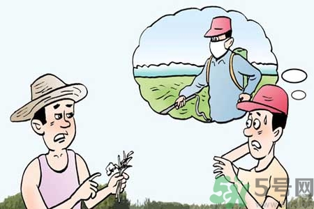 如何去除蔬菜上農藥殘留？清洗農藥小竅門有哪些？