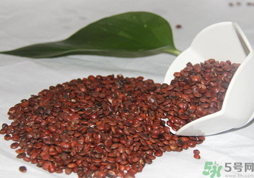 酸棗仁怎么吃治失眠?酸棗仁治療失眠偏方 酸棗仁怎么吃治失眠?酸棗仁治療失眠偏方