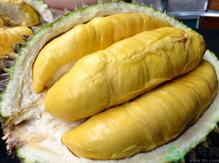金枕頭榴蓮和普通榴蓮有什么區(qū)別？金枕頭榴蓮怎么挑？