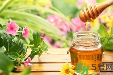 蜂蜜不能和什么一起吃？哪些人不能吃蜂蜜？