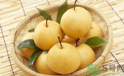 娃娃梨是怎么種出來(lái)的？娃娃梨為什么外形像娃娃？