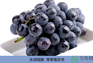 夏黑葡萄營養價值 夏黑葡萄的功效與作用