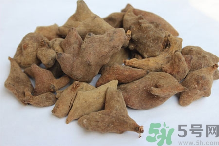 五倍子能治早泄嗎？五倍子的副作用有哪些？