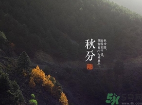 秋分吃什么？秋分吃什么水果？