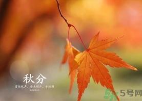 秋分吃什么？秋分吃什么水果？