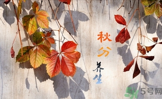 秋分吃什么？秋分吃什么水果？