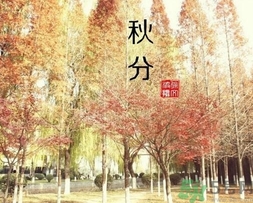秋分吃什么？秋分吃什么水果？