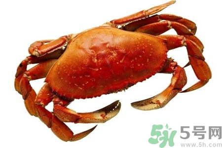 大閘蟹是發物嗎？哪些人不宜吃大閘蟹？