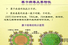 寨卡病毒對孕婦有危害嗎？寨卡病毒對孕婦的危害有哪些？