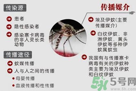寨卡病毒對孕婦有危害嗎？寨卡病毒對孕婦的危害有哪些？
