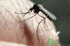 寨卡病毒對(duì)兒童的影響有哪些？寶寶如何避免及預(yù)防？