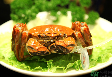 陽澄湖大閘哪個牌子好？陽澄湖大閘蟹哪個牌子是正宗的？