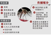 寨卡病毒對(duì)兒童的影響有哪些？寶寶如何避免及預(yù)防？