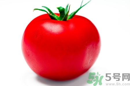番茄和西紅柿有什么區(qū)別？番茄和西紅柿一樣嗎？