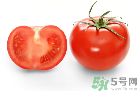 番茄和西紅柿有什么區(qū)別？番茄和西紅柿一樣嗎？