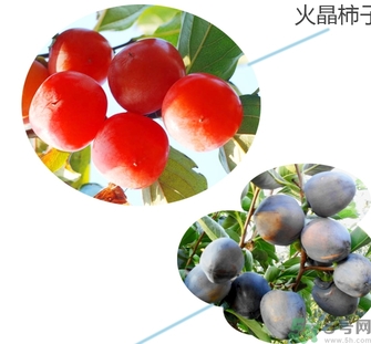 黑柿的營養價值及功效 黑柿怎么吃？