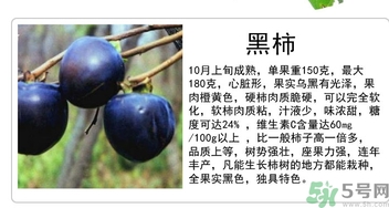 黑柿的營養價值及功效 黑柿怎么吃？
