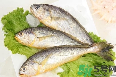 秋季適合吃什么魚？秋季吃魚的好處？