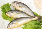 如何挑選新鮮魚(yú)？怎樣吃到不被污染的魚(yú)？