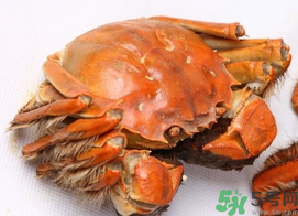 河蟹死了一天能吃嗎？河蟹死了多久不能吃？