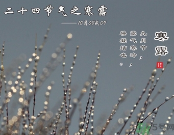 寒露是什么意思？寒露是幾月幾日