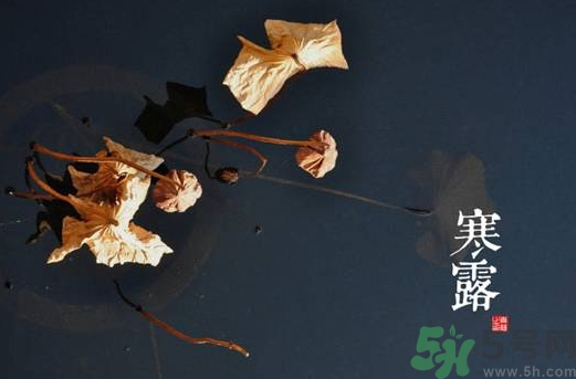 寒露是什么意思？寒露是幾月幾日