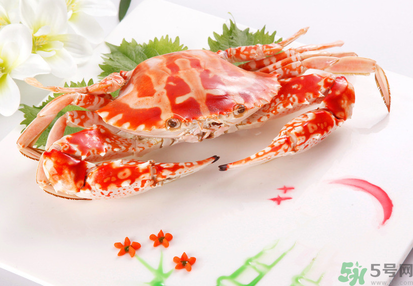 梭子蟹和花蟹的區(qū)別？梭子蟹和花蟹哪個(gè)好吃？