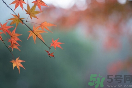秋燥皮膚癢吃什么好？秋燥4妙招保護皮膚