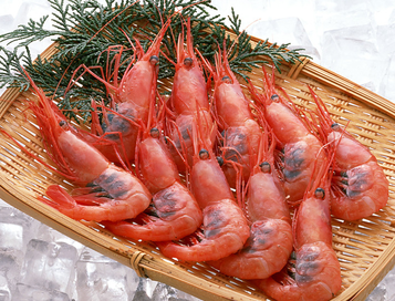 海蝦煮多長時間熟？海蝦怎么煮？