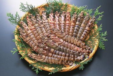 海蝦煮多長時間熟？海蝦怎么煮？