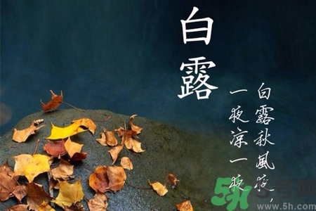 白露節吃什么？白露節的傳統美食有哪些？