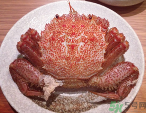 紅毛蟹怎么吃？紅毛蟹怎么做好吃？