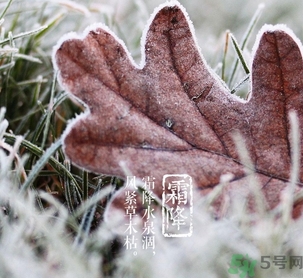 霜降是什么季節？霜降是秋天還是冬天？