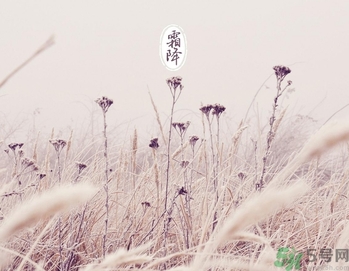 霜降是什么季節？霜降是秋天還是冬天？