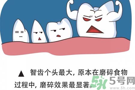 智齒拔完后有個(gè)洞怎么辦？拔智齒后有個(gè)洞多久能長(zhǎng)好？
