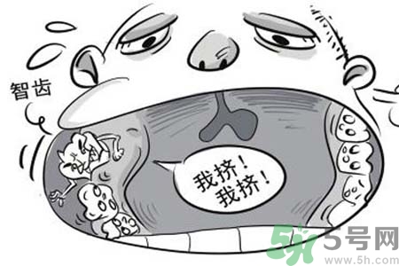 智齒拔完后有個(gè)洞怎么辦？拔智齒后有個(gè)洞多久能長(zhǎng)好？